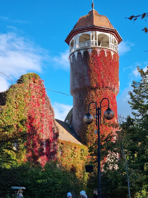Три в одном: Куршская коса, Зеленоградск и замок Нессельбек – индивидуальная экскурсия