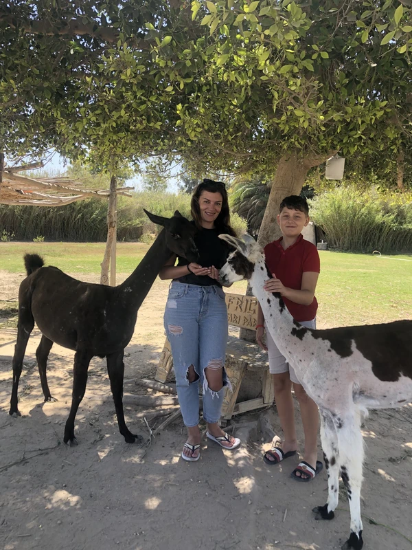 Сафари в Египте: приключение со стартом из Хургады – индивидуальная экскурсия