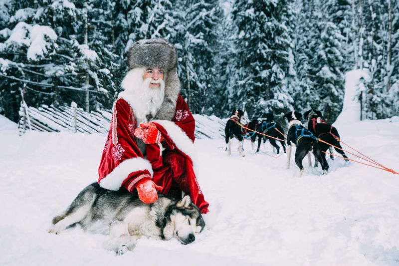 Зимняя сказка в Карелии: Талвиукко, олени и шунгитовая комната (из Петрозаводска) – индивидуальная экскурсия