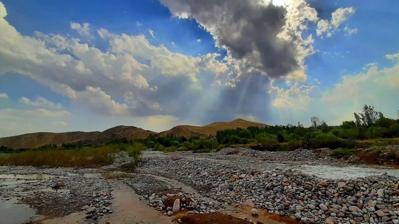Из Ташкента в Заркент: Институт Солнца и французская винодельня – групповая экскурсия