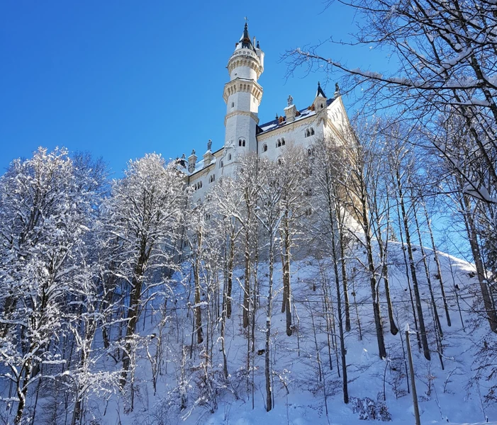 Замки баварских королей и диковинки Альп на вашем авто или на поезде – индивидуальная экскурсия
