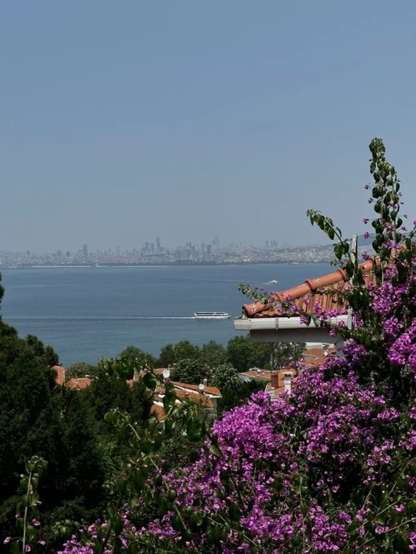 Однодневный побег из Стамбула на Принцевы острова – групповая экскурсия