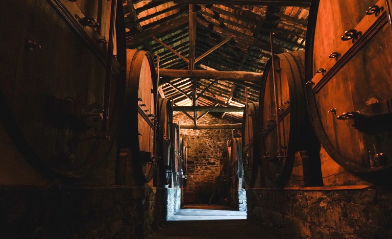 По винодельням с почётным сомелье Португалии – индивидуальная экскурсия