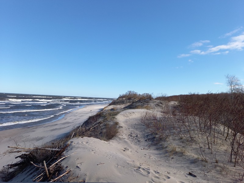 Увлекательные выходные: Калининград и курортные городки с местным гидом – авторский тур