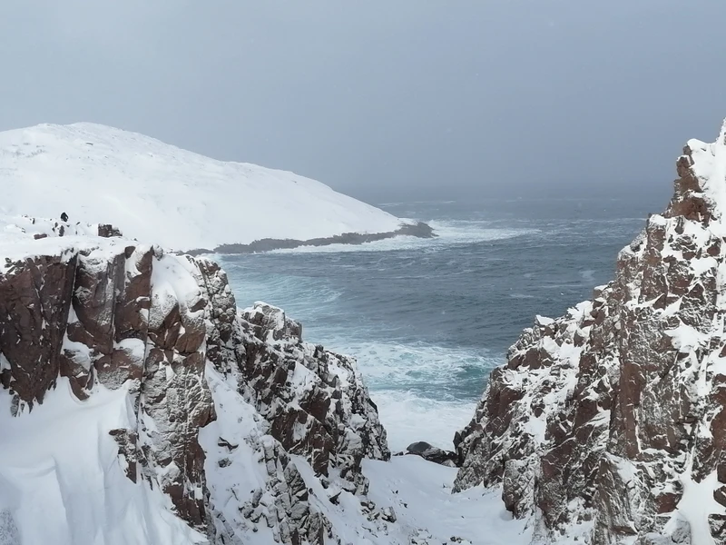 От океана до белоснежных гор: тур-перезагрузка в Мурманск, Териберку и на «Большой Вудъявр» – авторский тур