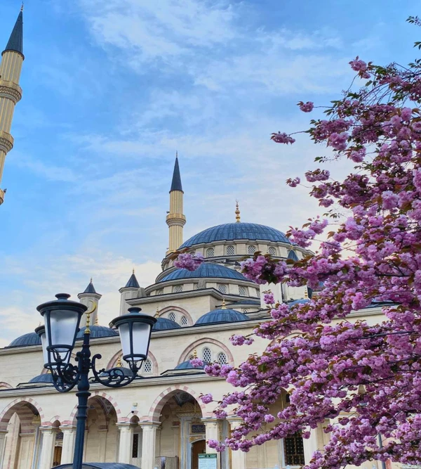 Групповое путешествие из Махачкалы в Чеченскую республику – групповая экскурсия