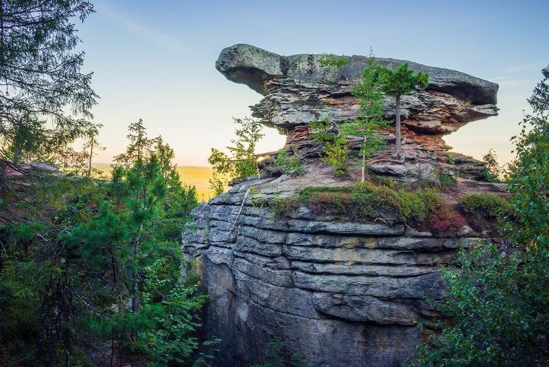 Северный Урал — побывать в царстве тайги и камня – индивидуальная экскурсия
