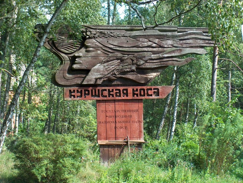 На загадочную Куршскую косу — из Калининграда – индивидуальная экскурсия