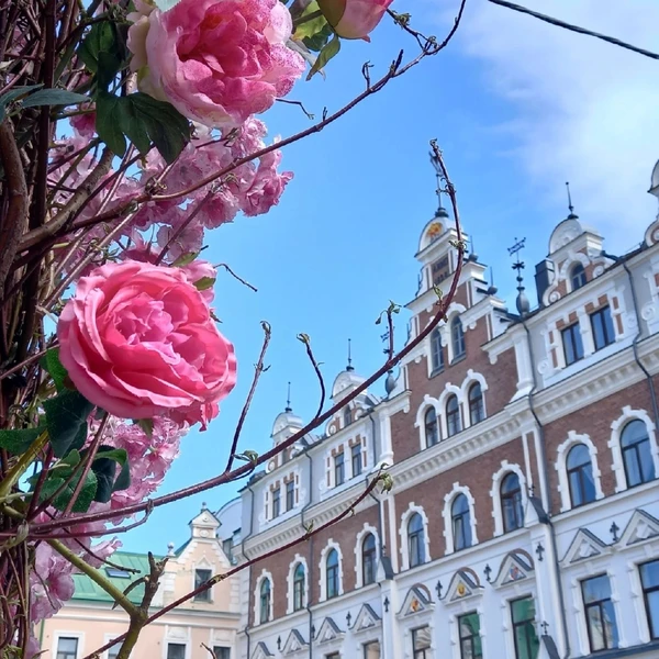 Весь Выборг за один день — на «Ласточке» из Санкт-Петербурга – индивидуальная экскурсия