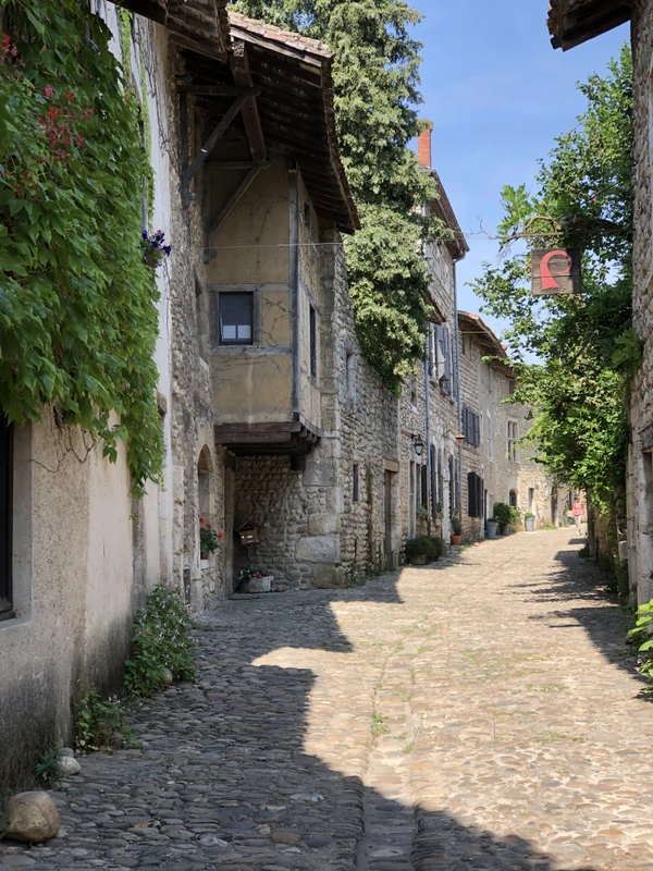 Бург-ан-Бресс и Перуж: история, вкус и очарование Франции – индивидуальная экскурсия