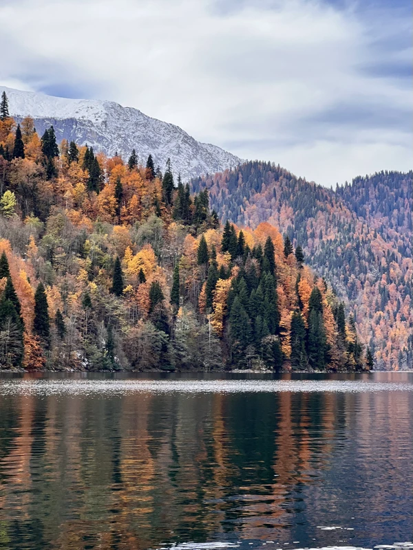 Вечер у озера Рица: к природным жемчужинам Абхазии — из Гагры и Пицунды – индивидуальная экскурсия