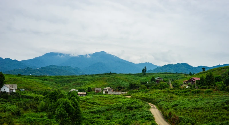 Красоты горной Аджарии — из Батуми – индивидуальная экскурсия