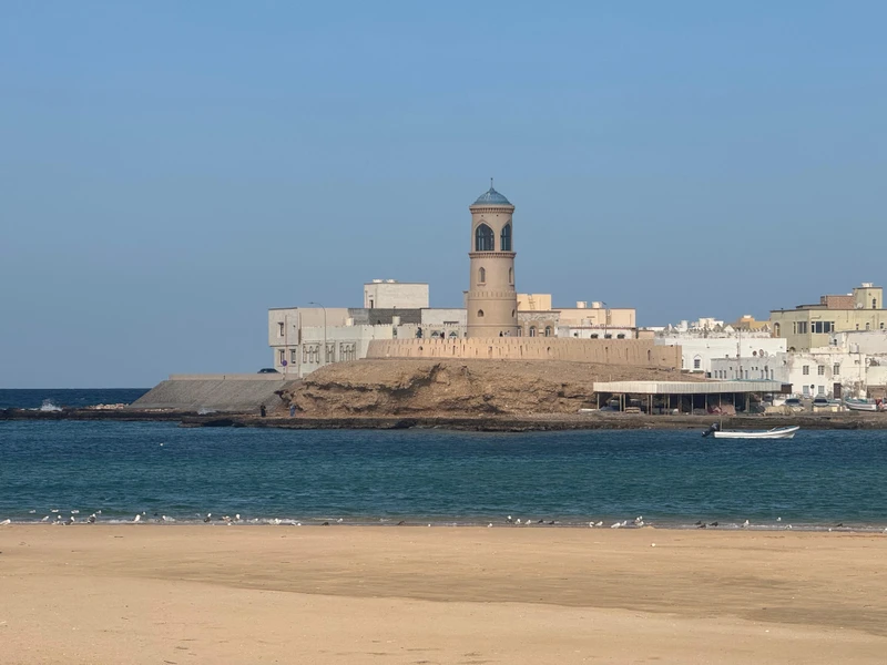 Из Маската в живописный Сур: деревянные корабли и панорамы Вади Дайка – индивидуальная экскурсия