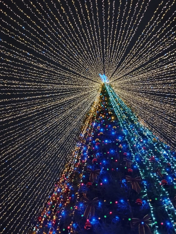 Вечера перед Рождеством в Гродно – индивидуальная экскурсия