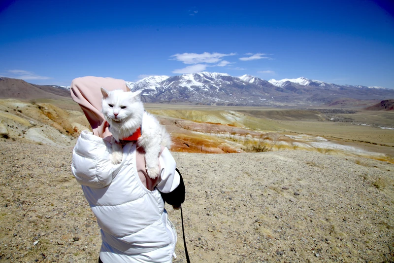 В мини-группе на Алтай: от Горно-Алтайска до Монголии через Телецкое озеро – авторский тур