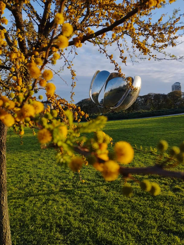 Буэнос-Айрес влюблёнными глазами – индивидуальная экскурсия