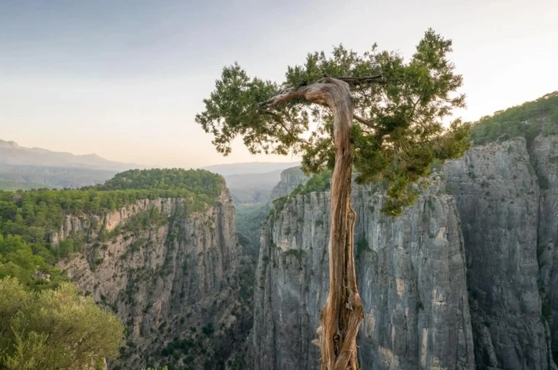 Каньон Тазы и рафтинг — с трансфером из Аланьи – индивидуальная экскурсия