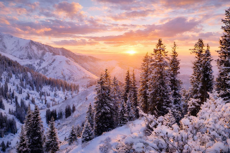 Лёгкий хайкинг в горах Тянь-Шаня – групповая экскурсия