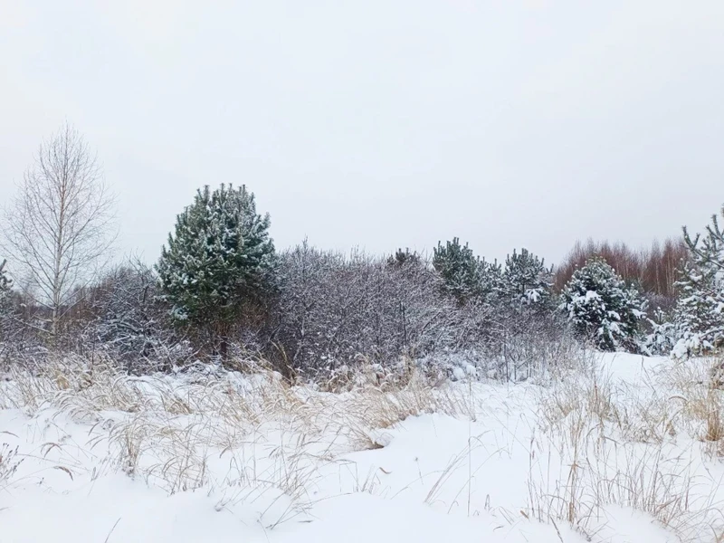 Хайкинг по берегам Казанки: от Казани до Голубых озёр – групповая экскурсия