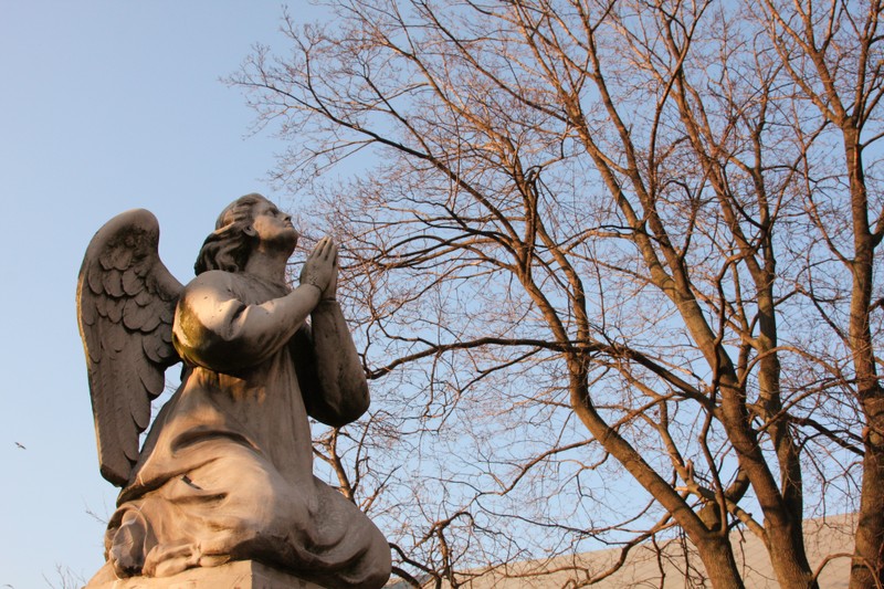 Новодевичий некрополь: постояльцы и их истории – групповая экскурсия