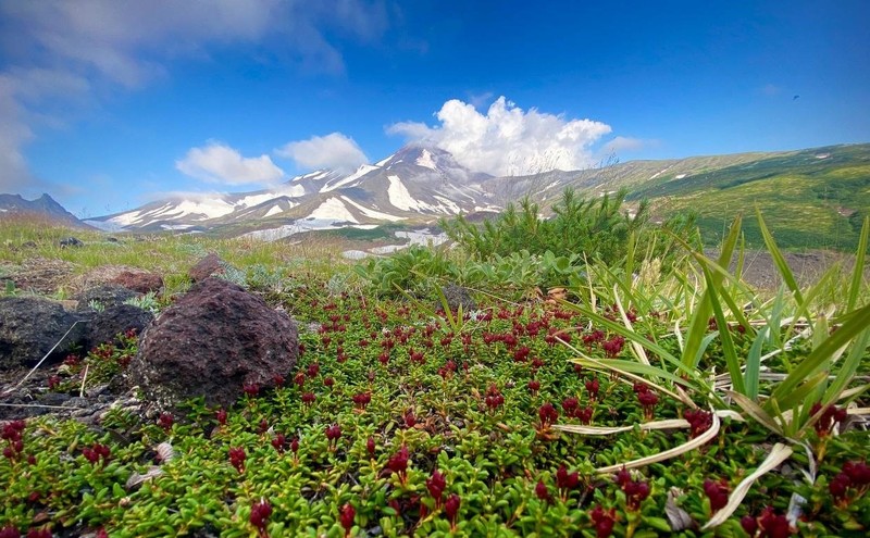 Экспедиция по Камчатке с восхождениями на вулканы, морской прогулкой и рыбалкой – авторский тур
