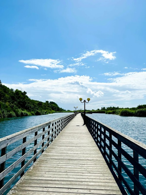 Янтарная Ривьера: Янтарный, Светлогорск, Пионерский и сыроварня – индивидуальная экскурсия