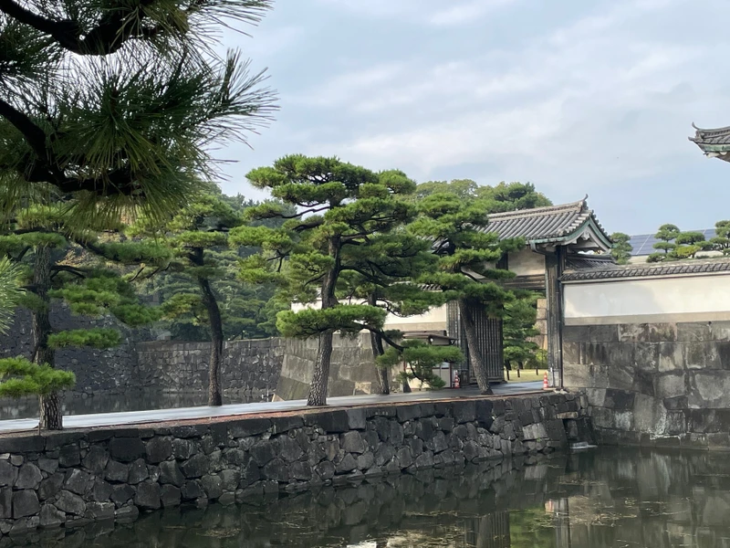 Императорский дом Японии: от замка Эдо до современной монархии – групповая экскурсия