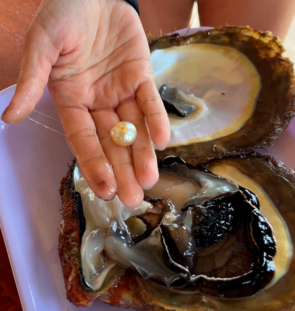 Погружение за жемчугом на Фукуоке – индивидуальная экскурсия