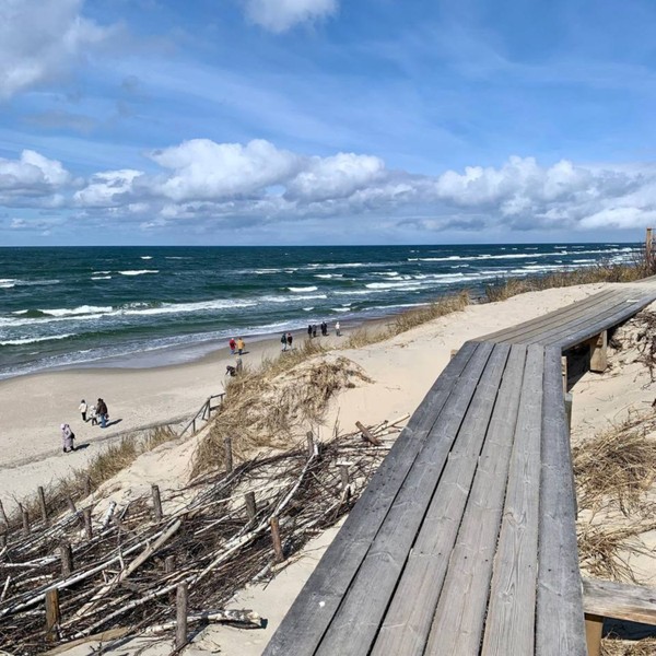 Куршская коса и Зеленоградск — идеальный день на Балтике – групповая экскурсия