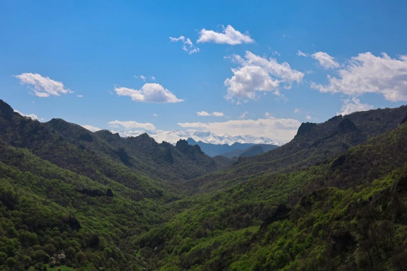 Экспресс-тур по Карачаево-Черкесии: исследуем Домбай и Архыз в мини-группе (из городов КМВ) – авторский тур