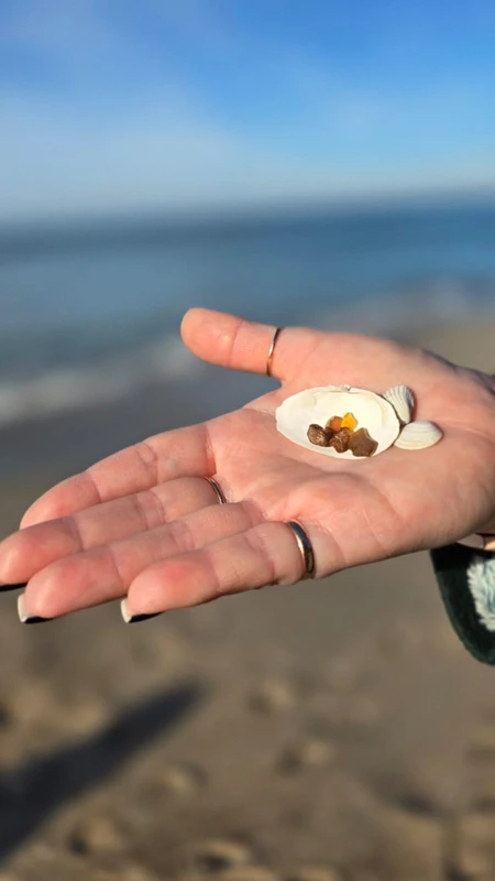 Из Калининграда — в Балтийск и Янтарный – индивидуальная экскурсия