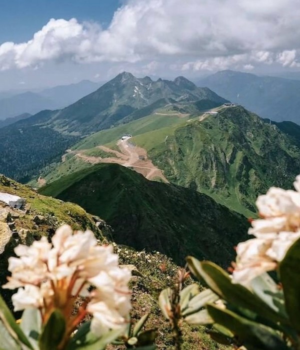 Из Адлера — в Красную Поляну и на Розу Хутор – групповая экскурсия
