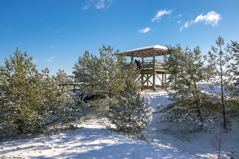 Куршская коса — природное чудо Балтики (из Калининграда) – групповая экскурсия