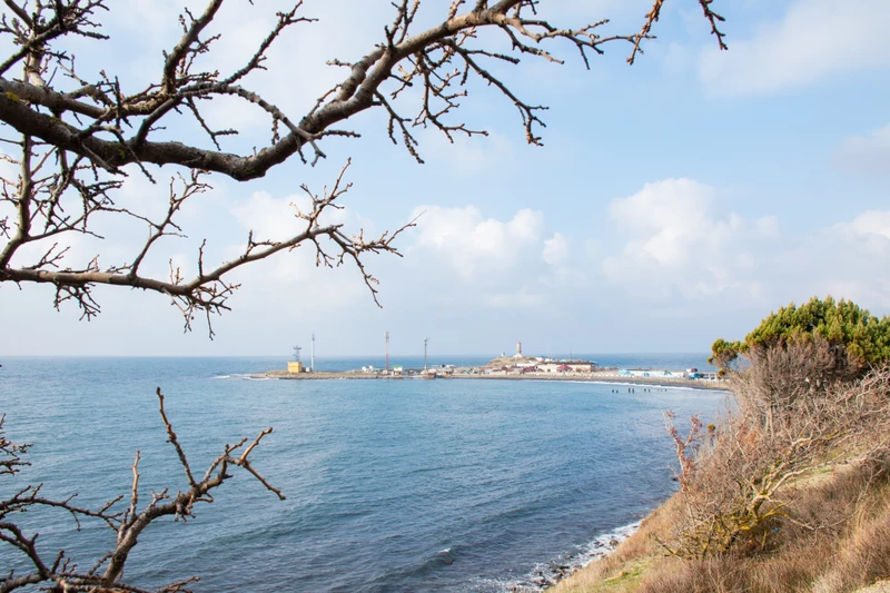 В Утриш — на встречу с можжевельниками – индивидуальная экскурсия