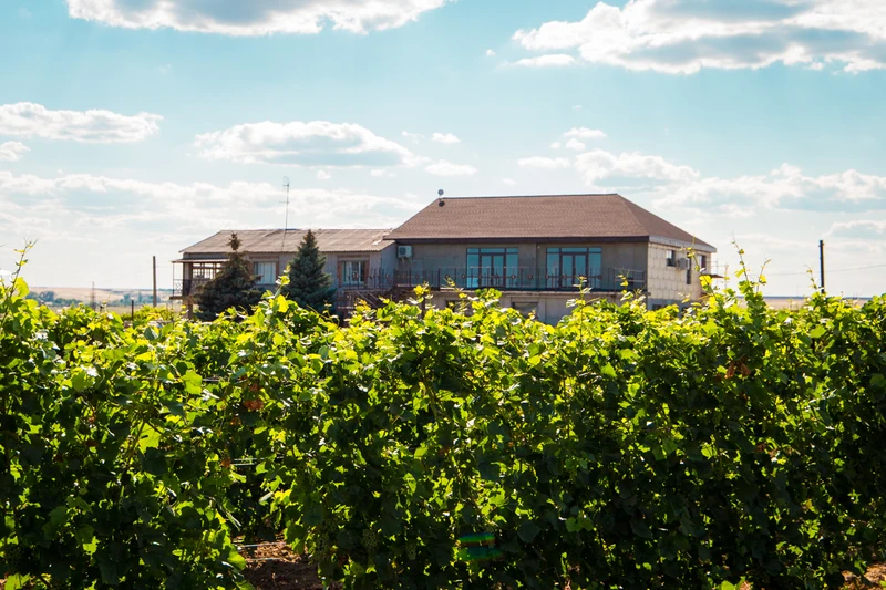 Из Волгограда — на винодельни региона Нижняя Волга – индивидуальная экскурсия