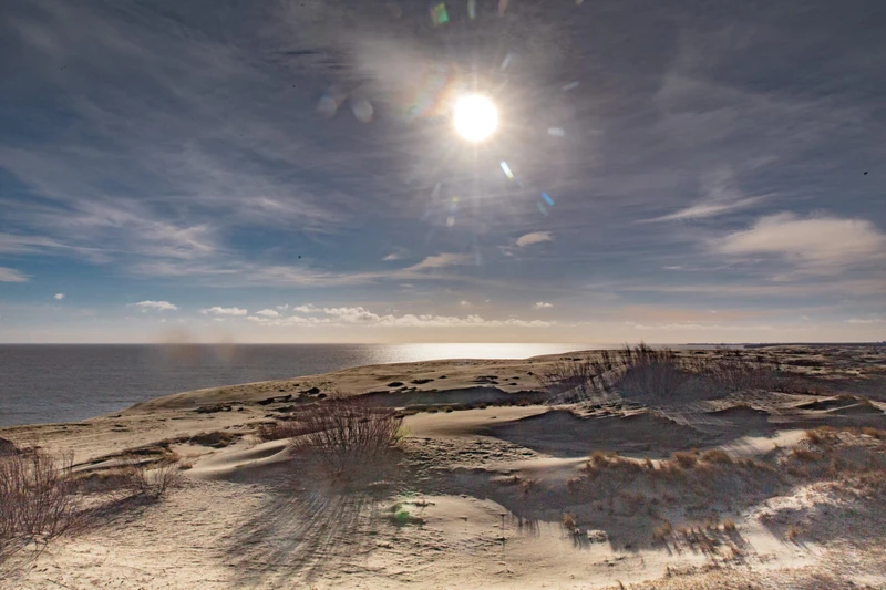 На Куршскую косу! Танцующий лес, Высота Эфа + сыроварня «Шаакен Дорф» – групповая экскурсия