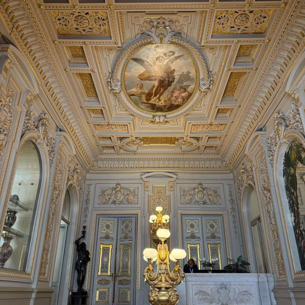 Экскурсия по Владимирскому дворцу — Дому учёных