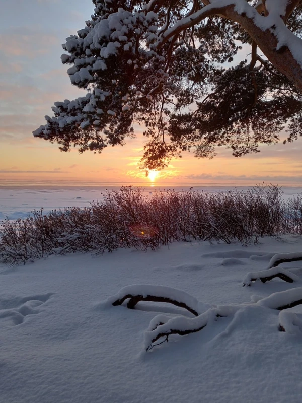 Из Петербурга в Комарово: обитель муз и гениев (в уютной мини группе) – групповая экскурсия