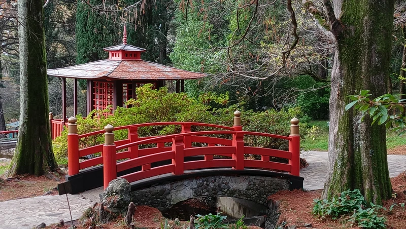 Сочи в 19 веке: имение Худекова и рождение «Дендрария» – индивидуальная экскурсия