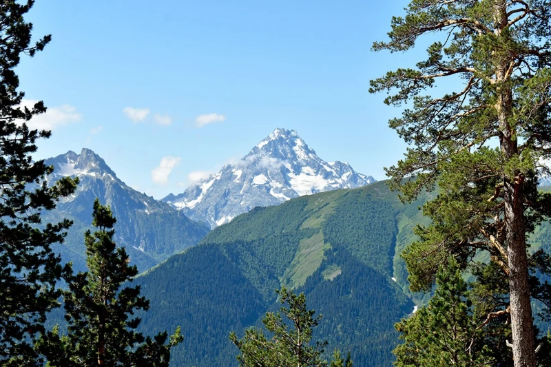 Кавказское трио: Эльбрус, Архыз, Домбай. Лёгкие треккинги, горы, нарзаны и знаковые места – авторский тур