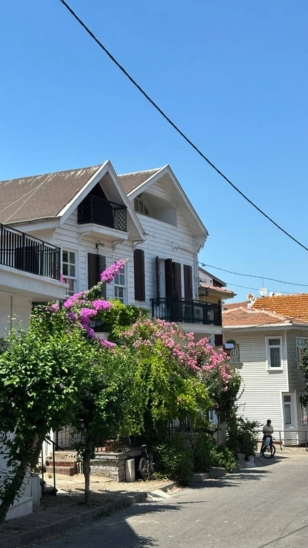 Прогулка с аудиогидом по острову Бююкада – индивидуальная экскурсия