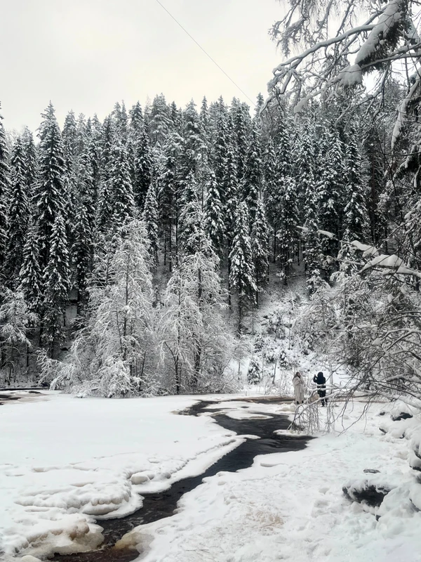 Карельский Клондайк и водопад Белые мосты – индивидуальная экскурсия