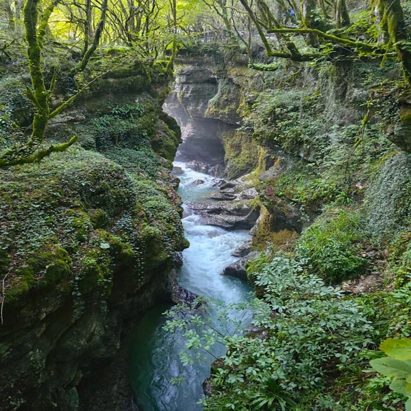 Живая энергия Грузии: каньоны Мартвили, Окаце и пещера Прометея – групповая экскурсия
