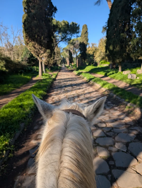 Конная прогулка в Риме – индивидуальная экскурсия