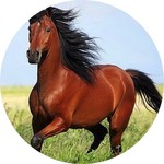 Сааб