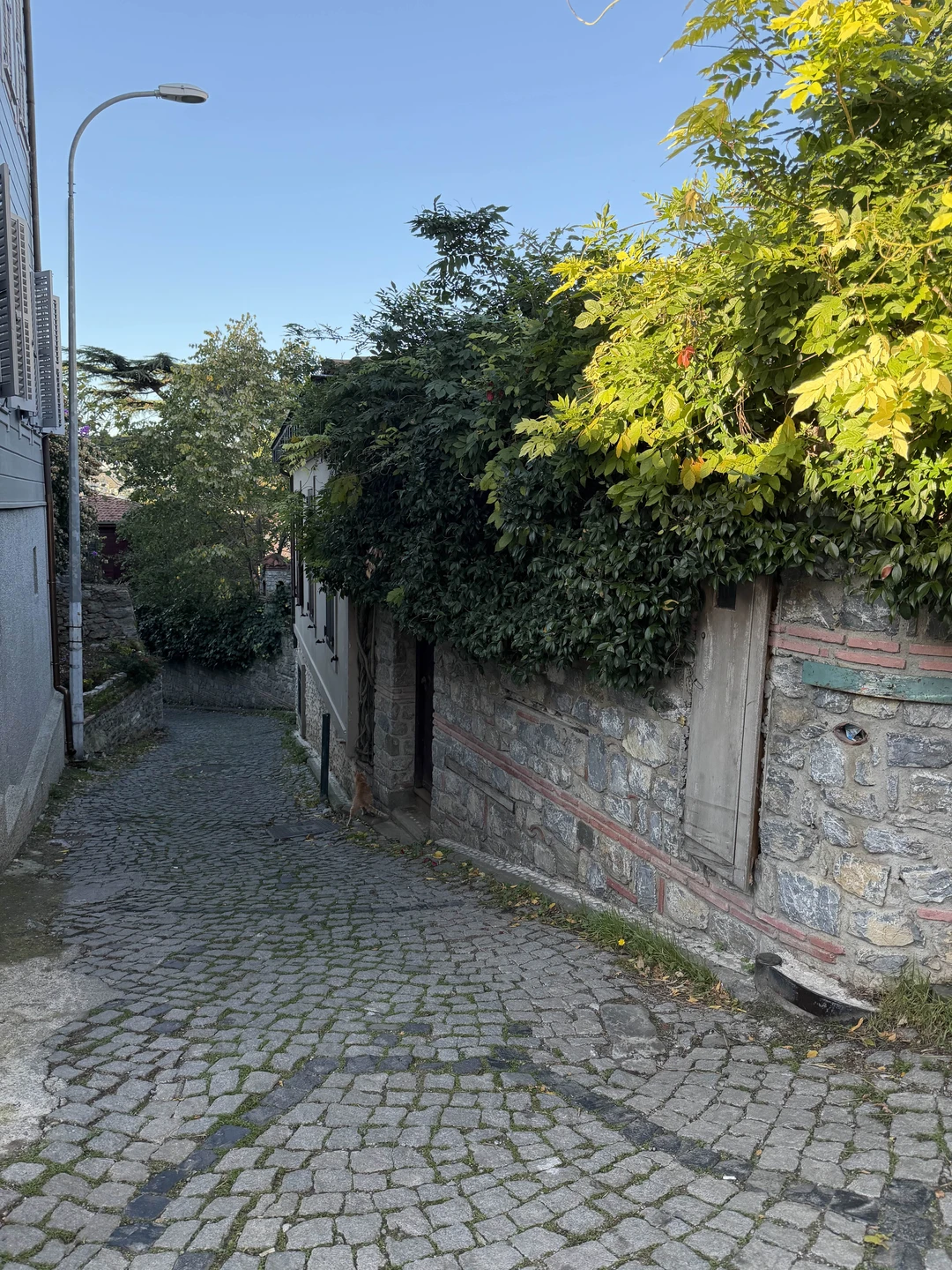 Отзыв о экскурсии "Стамбул, о котором вы не знали" — фото 3