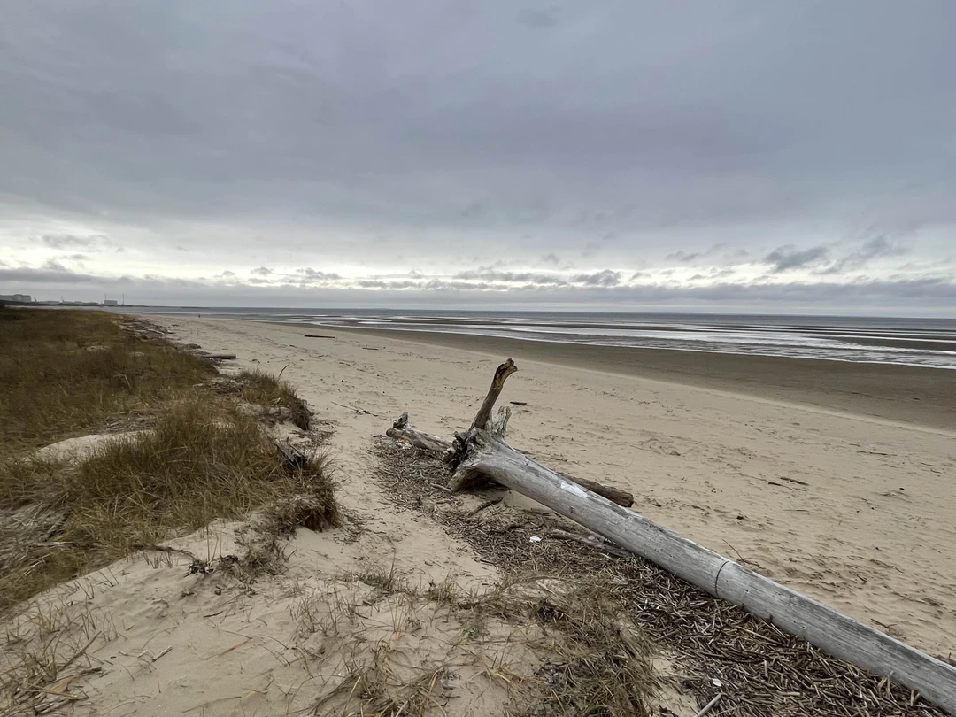 Отзыв о экскурсии "Северодвинск, остров Ягры и Белое море: поездка из Архангельска" — фото 4