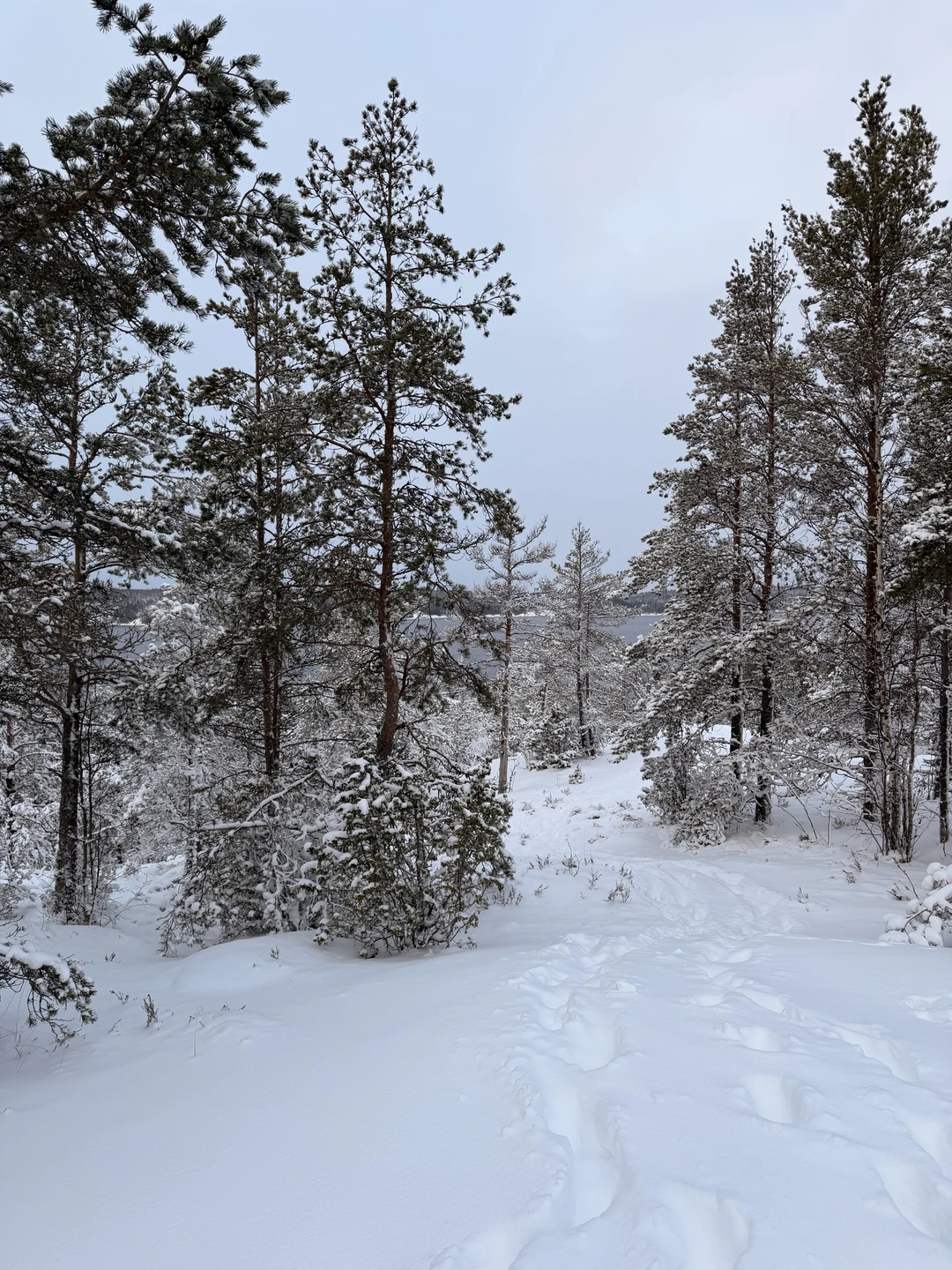 Фото путешественника — 4