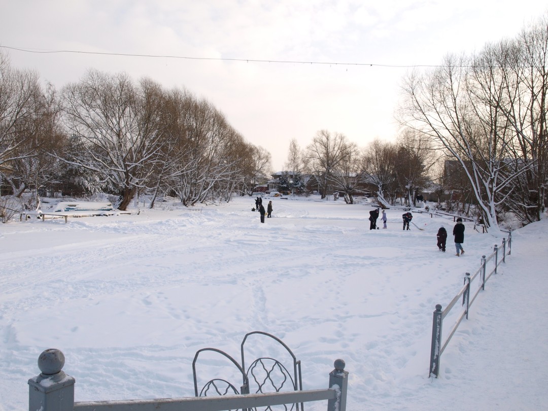 Отзыв о экскурсии "Переславль-Залесский и его живописные окрестности на авто!" — фото 3