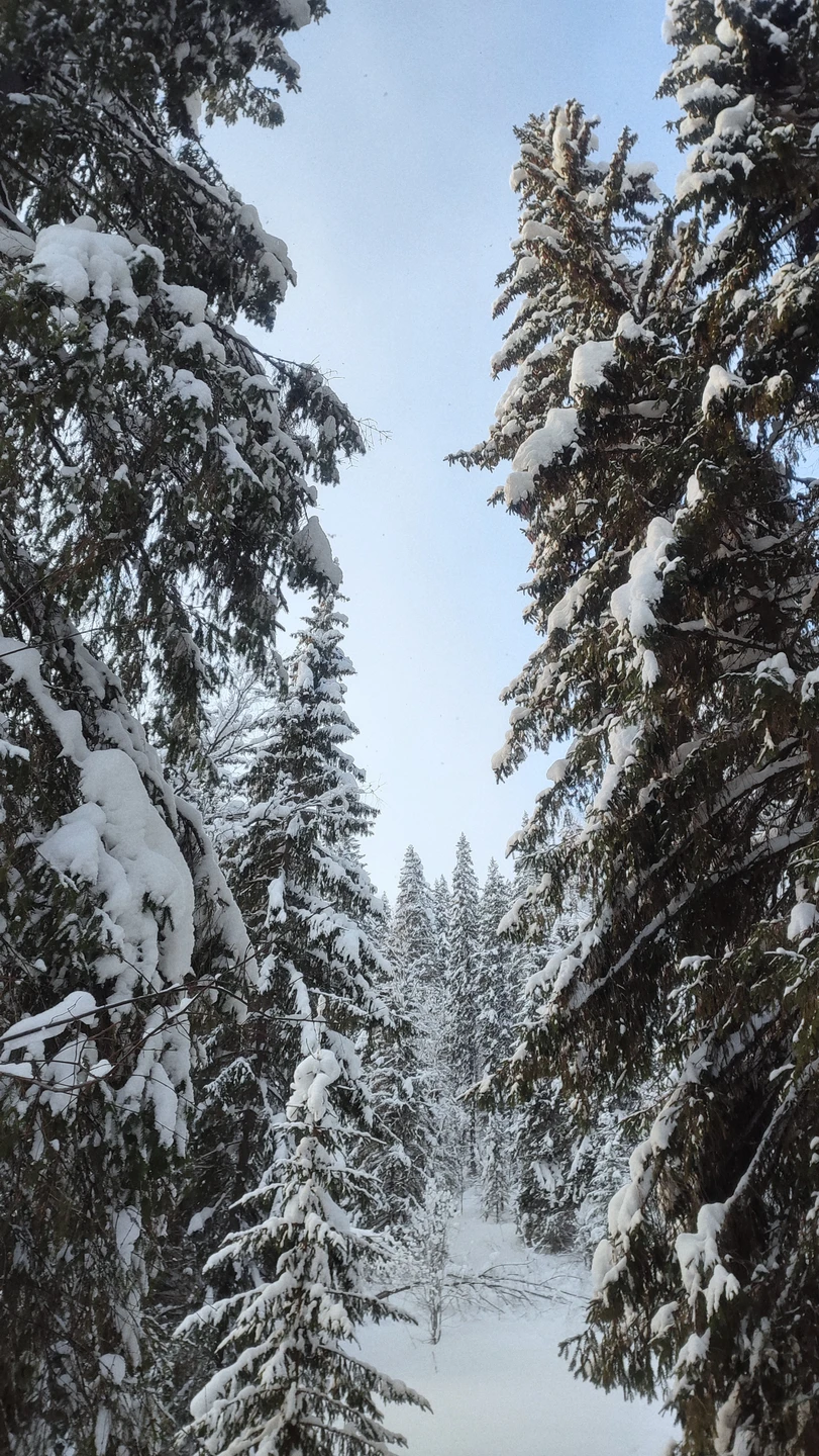 Отзыв о экскурсии "Сказки Пермского края: Усьвинские столбы и Каменный город" — фото 3